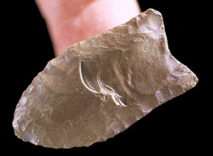 Cast of a Clovis point from the Lange-Ferguson site.