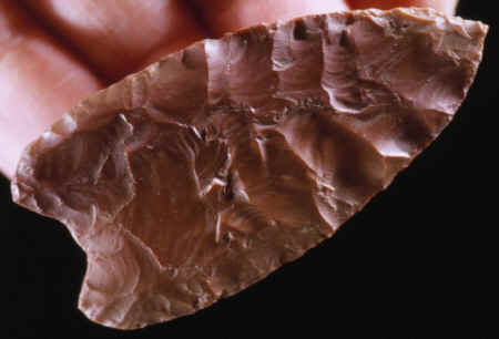 Cast of a Clovis point from the Colby kill site.