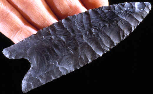 Cast of a Dalton point from the Olive Branch site in Illinois.