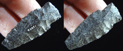 Cast of a small Eden point from the Finley site.