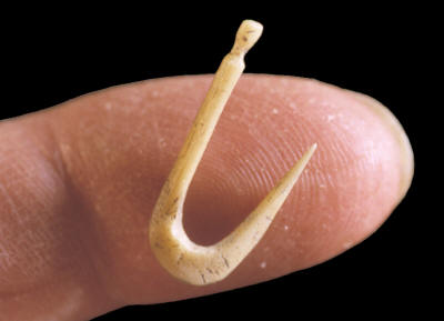 Bone Fishhook From The Cahokia Mounds Site