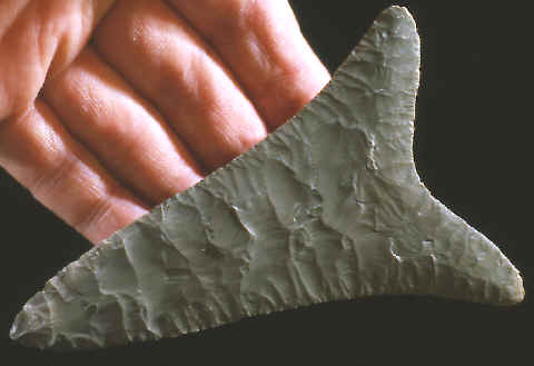 Cast of a Fish Tail biface from Predynastic Egypt.