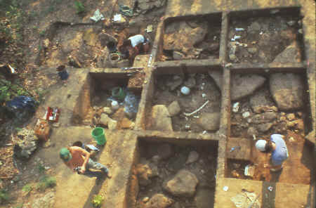 Excavation of the Kimmswick mastodon kill site.