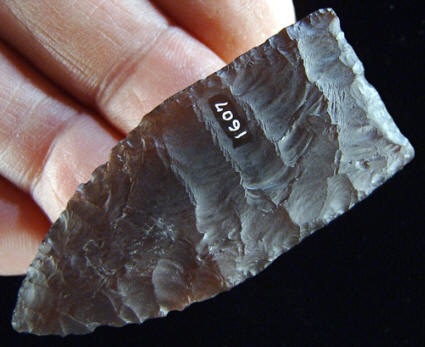 Cast of a Goshen point from the Mill Iron site.