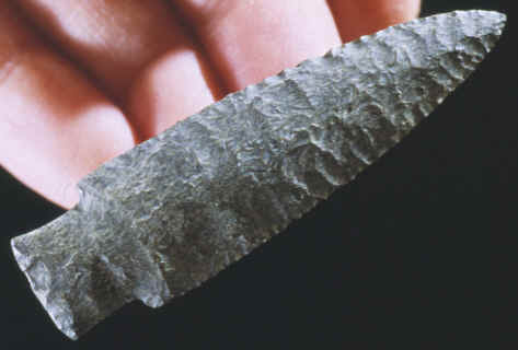 Cast of a Scottsbluff Type I point from the Finley site.