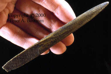 Ice Age bone spear point from Sheriden Cave (cast).