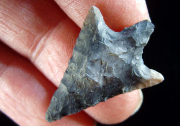 Cast of a stemmed arrow point from, Auvernier site.