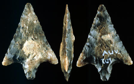 Stemmed arrow point from Auvernier site, Switzerland.