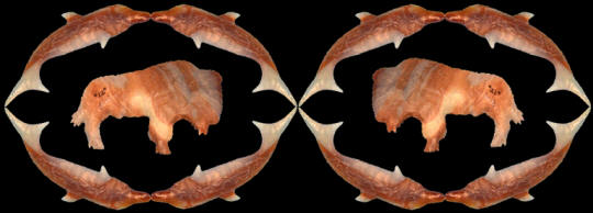 Abstract image of Don Wilcox's animal art.