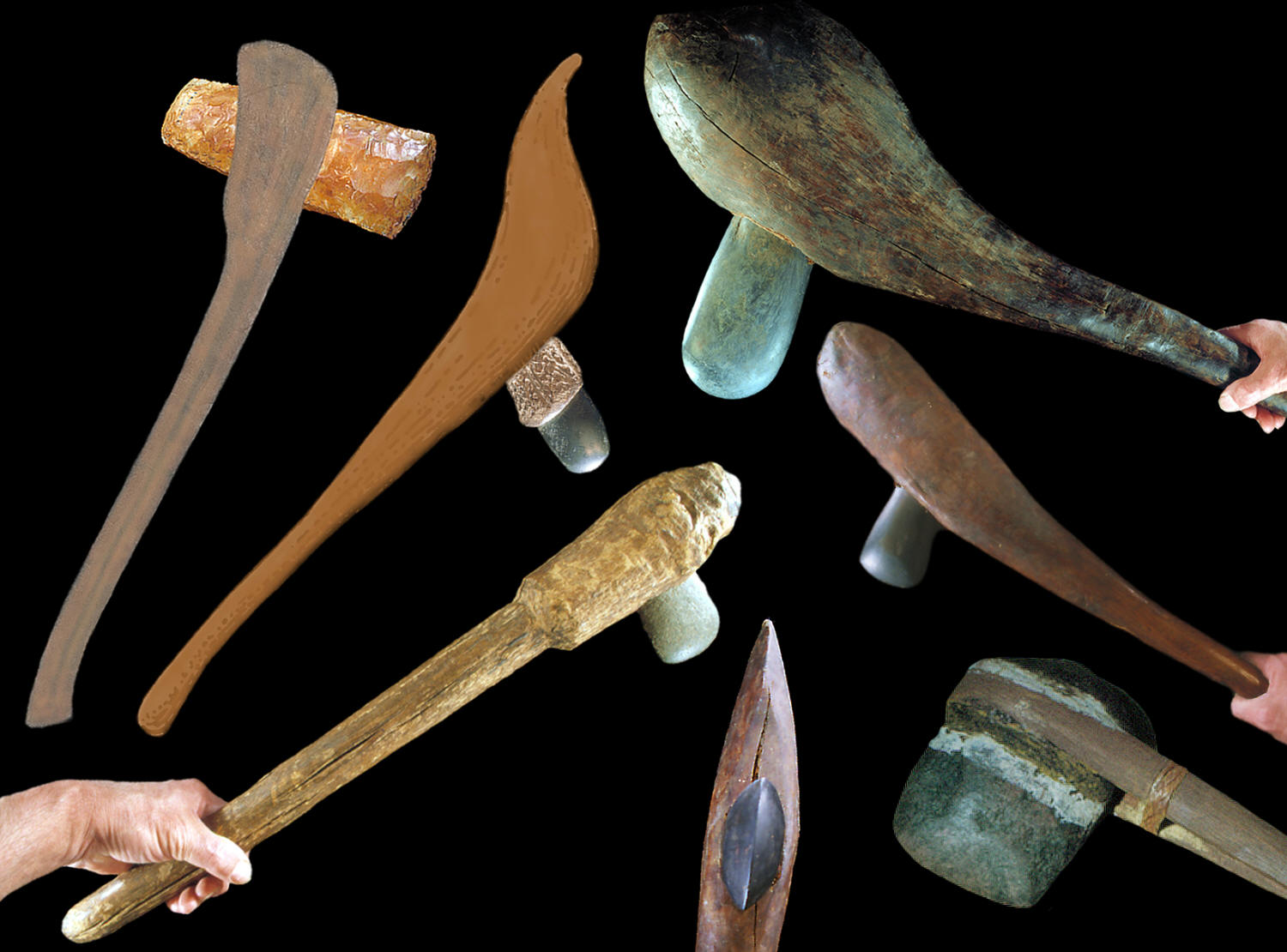 Seven hafted axes from different areas of the world.