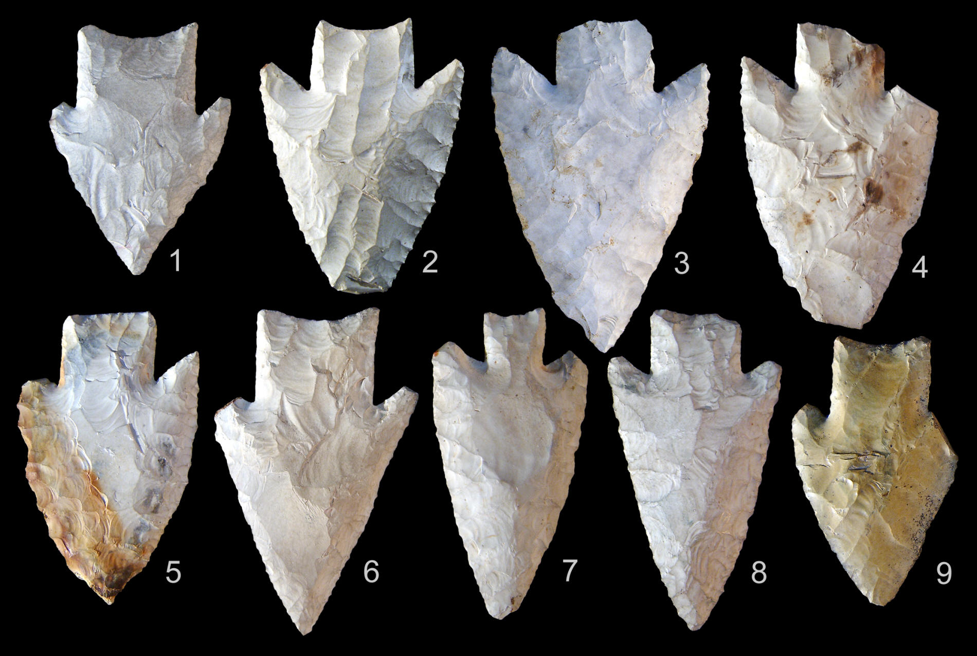 Nine examples of Lowe points from northern Belize.