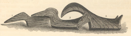 1848 illustration of birdstones.