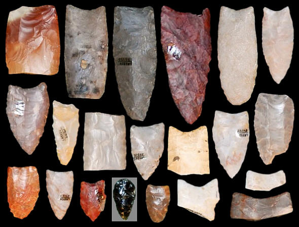 Clovis points from the Blackwater Draw site.