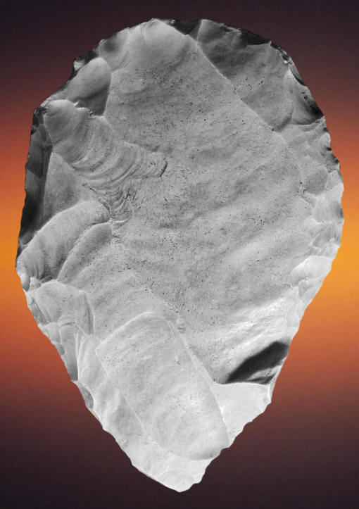 Largest Clovis biface from the Blackwater Draw site.