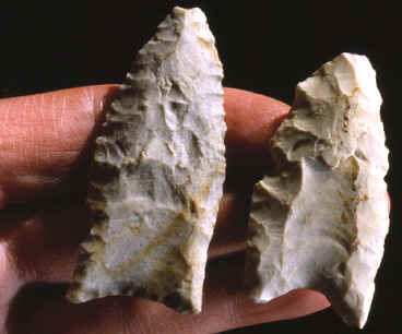 Two Clovis points from the Bostrom site.
