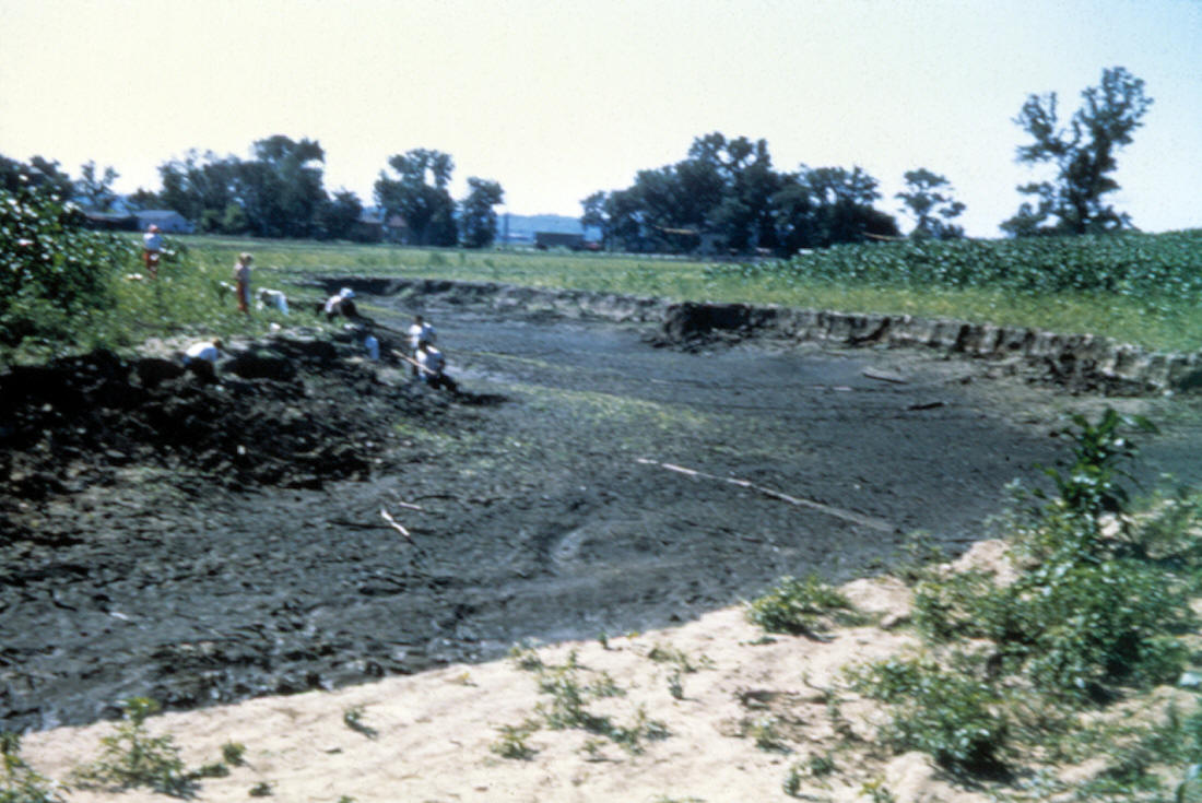 Soil erosion in 1954 flood at Cahokia Mounds site.