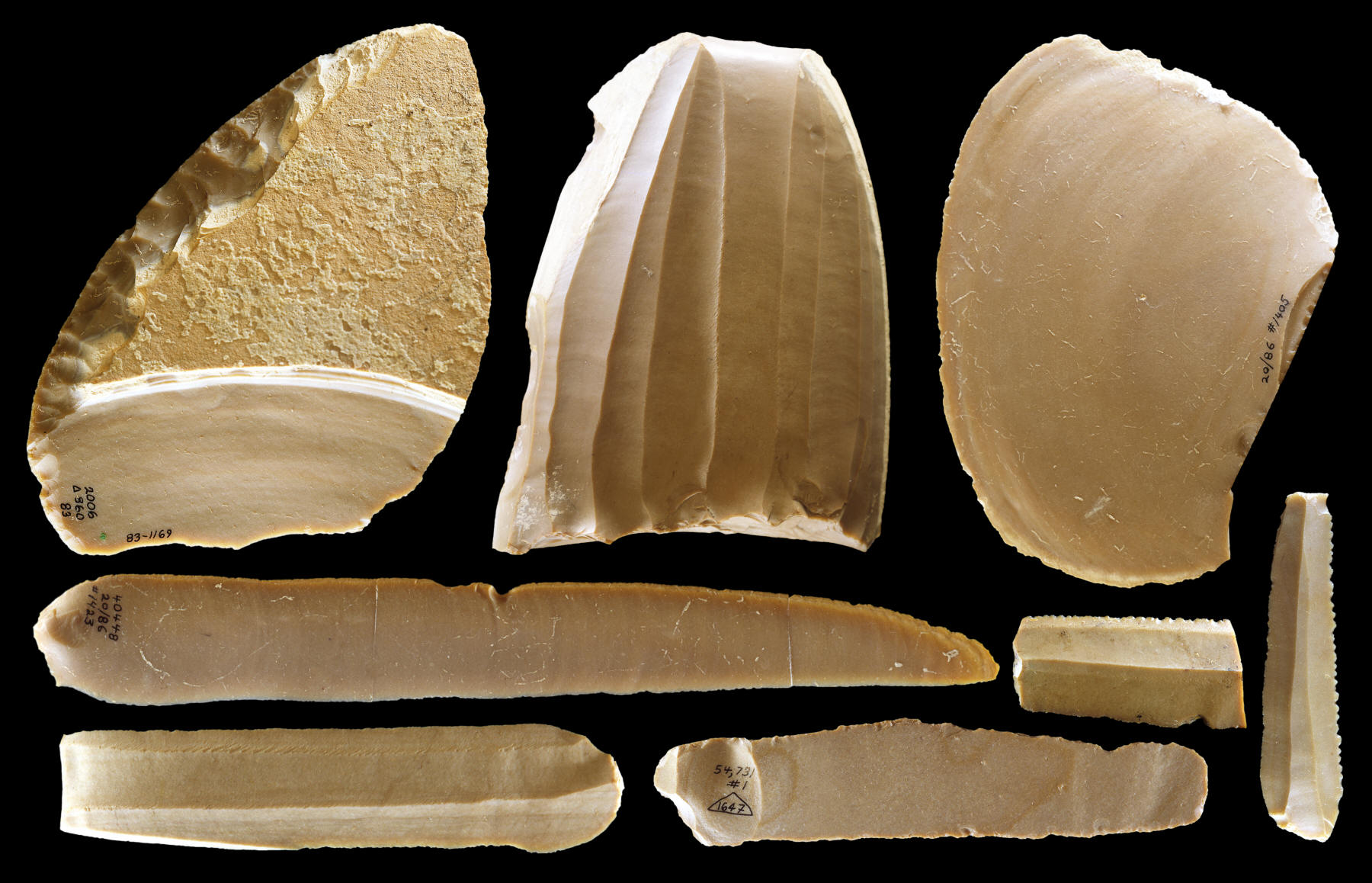 Canaanean core,  blades & scrapers from Tell Halif, Israel.