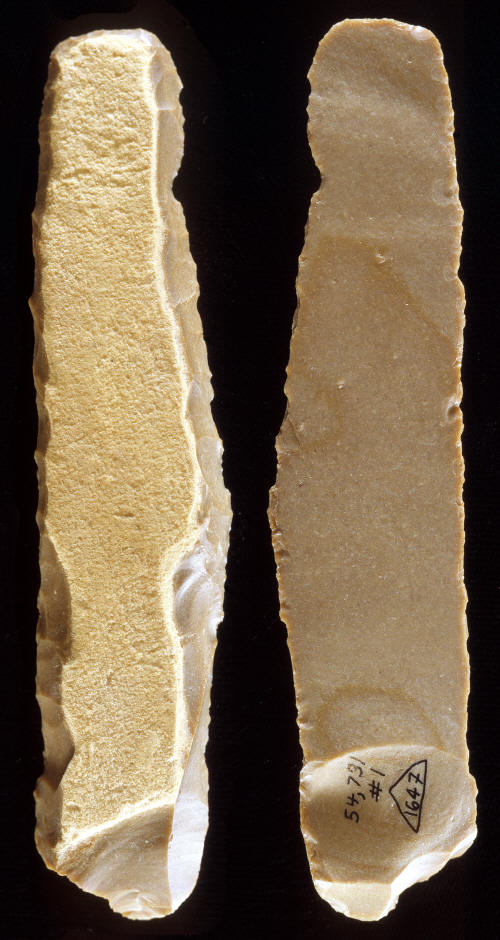 Canaaean cortical flake scraper from Tell Halif, Israel.