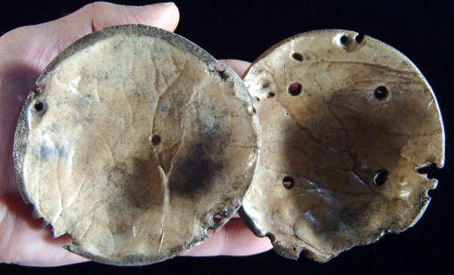 Underside view of human bone rattles, Pinson Mounds.