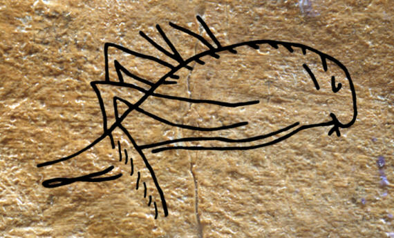 Computer rendition of grasshopper engraved on bone.