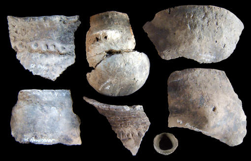 Rim sherds & small pot from Auvernier lake site.