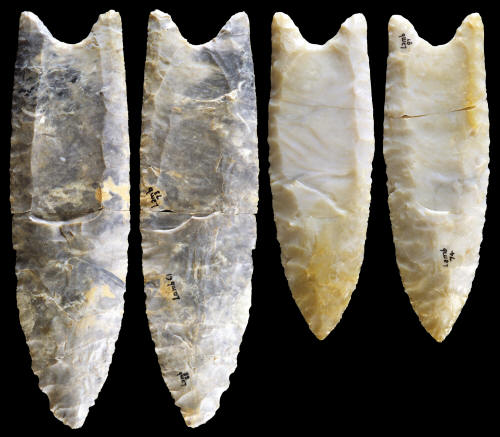 Fluted points from the Lamb site.