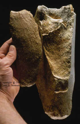 Mammoth bone core and flake that was removed.