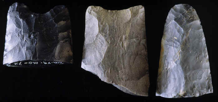 Three broken projectile point bases from the mesa site.