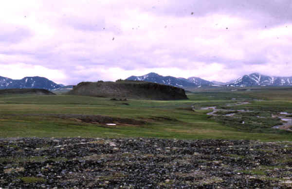 The Mesa site in the distance looking south.