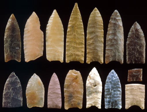 Fifteen Goshen points from the Mill Iron site (casts).