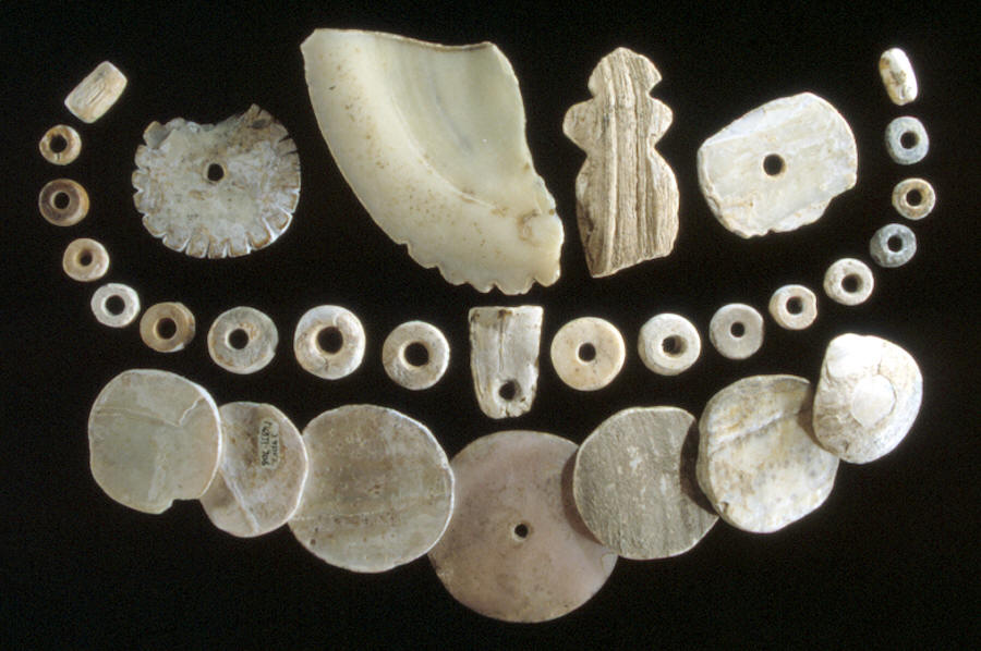 Shell artifacts from the Mitchell site, South Dakota.