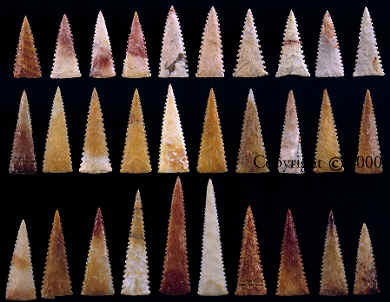 Large group of serrated unnotched Cahokia points from mound 72.