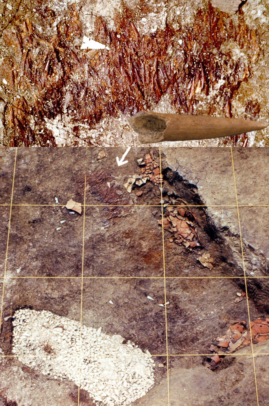 Cache of antler points found in Mound 72.