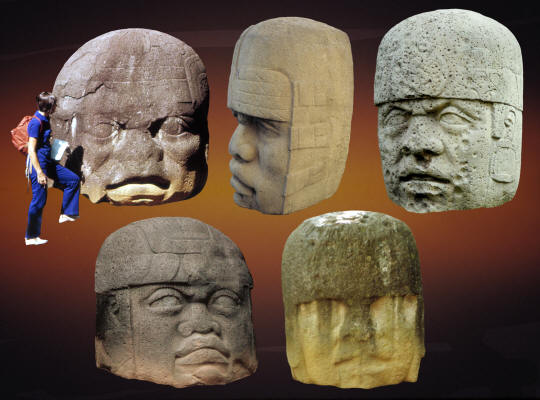 Five Olmec stone carved colossal heads.