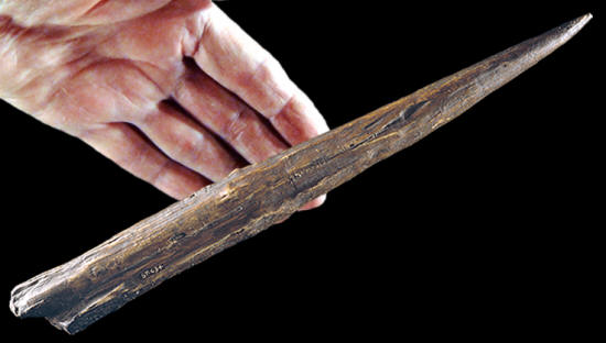 The Clacton spear tip, est. 450,000 years old.