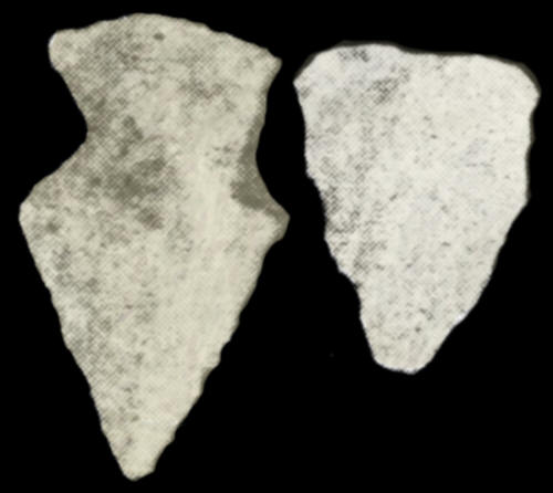 Two shell arrow points from southwestern United States.