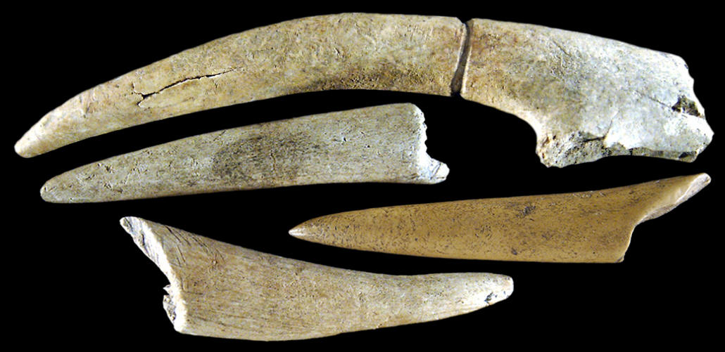 Antler spear points, Middle Woodland period.