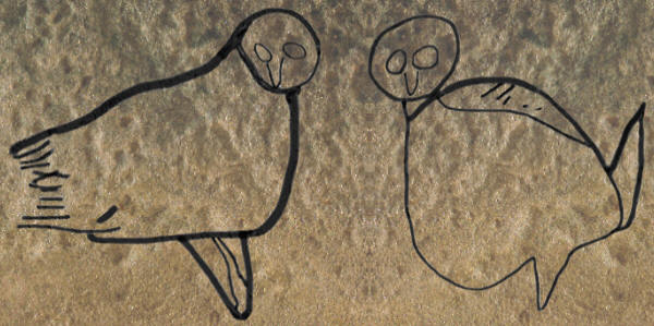 Two owl engraving in Upper Paleolithic cave in France.