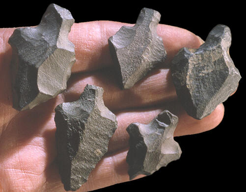 Aterian projectile points made from Levallois flakes.