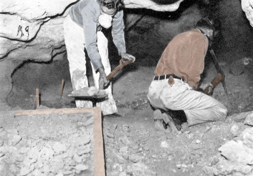 Excavating inside Sandia Cave.
