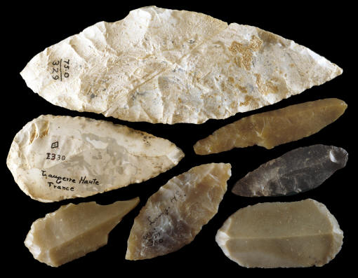 Seven examples of Solutrean stone tools from France.