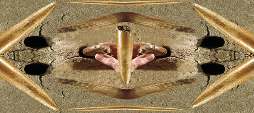 Abstract image of ivory harpoon & whalebone.