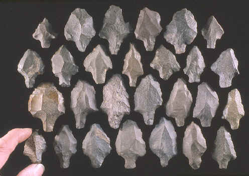 Stemmed Aterian points.