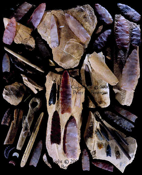Many Clovis artifacts from Fenn cache and Lange Ferguson.