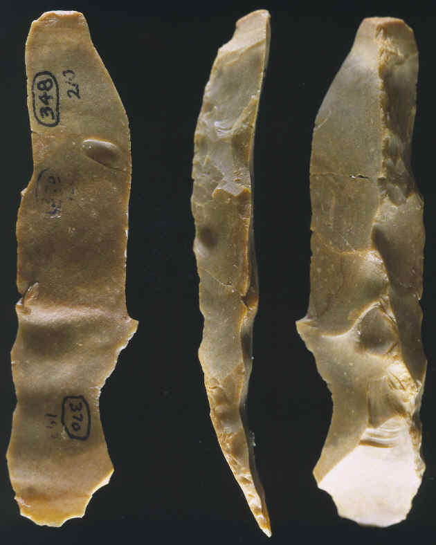 Crested blade from the aurignacian stone tool industry.