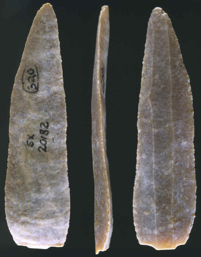 Aurignacian core blade.