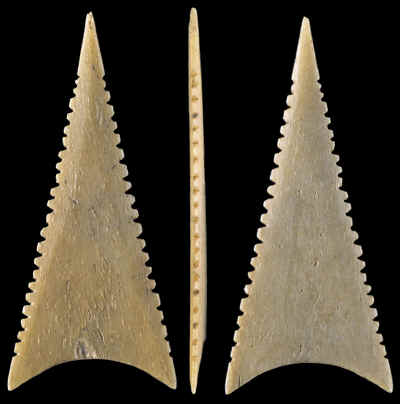 Shark tooth effigy bone Cahokia point.