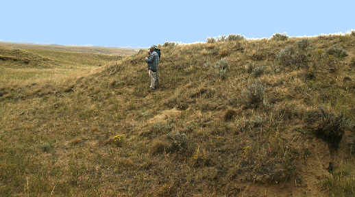 Dilts site, Campbell County, Wyoming.