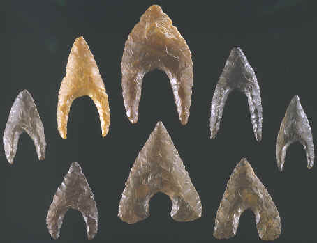  Eight Hollow Base points from Egypt.