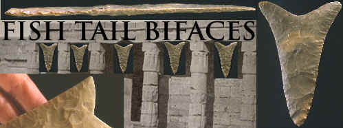 Banner for Fish Tail bifaces.